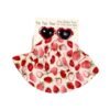 Set de Sombrero y Gafas (Fresas)